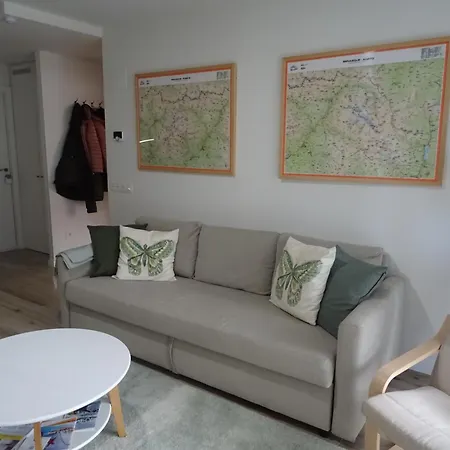 Milla De Oro Apartmán Benasque